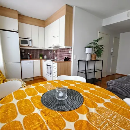 Viihtyisae Yksioe Alppilassa